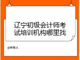 辽宁初级会计师考试培训机构哪里找