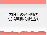 沈阳中级经济师考试培训机构哪里找