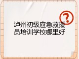 泸州初级应急救援员培训学校哪里好