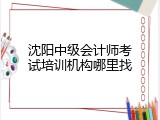 沈阳中级会计师考试培训机构哪里找