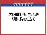 沈阳审计师考试培训机构哪里找
