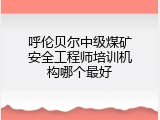 呼伦贝尔中级煤矿安全工程师培训机构哪个最好