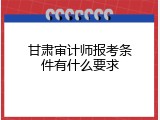 甘肃审计师报考条件有什么要求