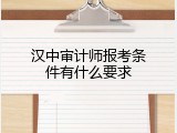 汉中审计师报考条件有什么要求