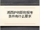 湘西护师职称报考条件有什么要求