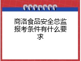 商洛食品安全总监报考条件有什么要求