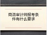 商洛审计师报考条件有什么要求
