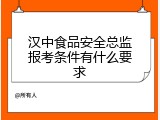 汉中食品安全总监报考条件有什么要求