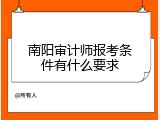 南阳审计师报考条件有什么要求