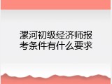 漯河初级经济师报考条件有什么要求