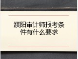 濮阳审计师报考条件有什么要求