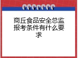 商丘食品安全总监报考条件有什么要求