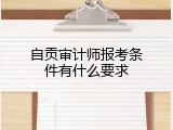 自贡审计师报考条件有什么要求