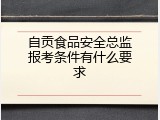 自贡食品安全总监报考条件有什么要求