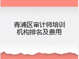 青浦区审计师培训机构排名及费用