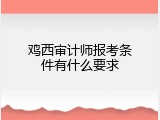 鸡西审计师报考条件有什么要求