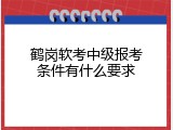 鹤岗软考中级报考条件有什么要求