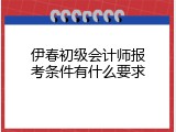 伊春初级会计师报考条件有什么要求