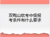 双鸭山软考中级报考条件有什么要求