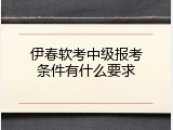 伊春软考中级报考条件有什么要求