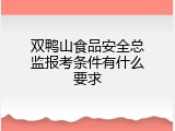 双鸭山食品安全总监报考条件有什么要求