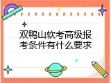 双鸭山软考高级报考条件有什么要求