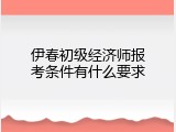 伊春初级经济师报考条件有什么要求