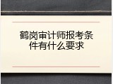 鹤岗审计师报考条件有什么要求