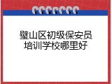 璧山区初级保安员培训学校哪里好