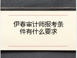 伊春审计师报考条件有什么要求