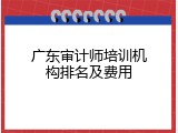 广东审计师培训机构排名及费用
