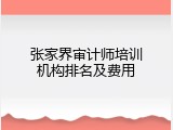 张家界审计师培训机构排名及费用
