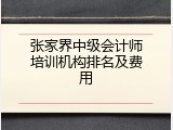 张家界中级会计师培训机构排名及费用