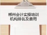 郴州会计实操培训机构排名及费用