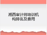 湘西审计师培训机构排名及费用