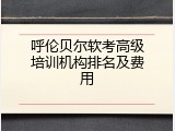 呼伦贝尔软考高级培训机构排名及费用