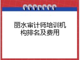 丽水审计师培训机构排名及费用