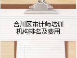 合川区审计师培训机构排名及费用