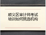 顺义区审计师考试培训如何挑选机构