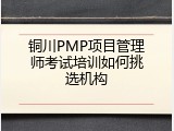 铜川PMP项目管理师考试培训如何挑选机构