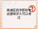 青浦区药学职称考试通常多久可以考过