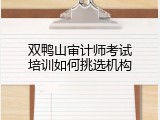 双鸭山审计师考试培训如何挑选机构