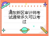 浦东新区审计师考试通常多久可以考过