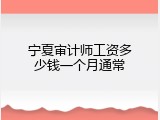 宁夏审计师工资多少钱一个月通常