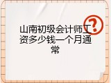 山南初级会计师工资多少钱一个月通常