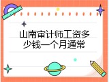 山南审计师工资多少钱一个月通常