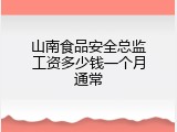 山南食品安全总监工资多少钱一个月通常