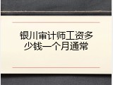 银川审计师工资多少钱一个月通常