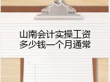山南会计实操工资多少钱一个月通常
