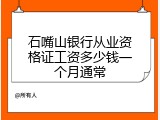 石嘴山银行从业资格证工资多少钱一个月通常